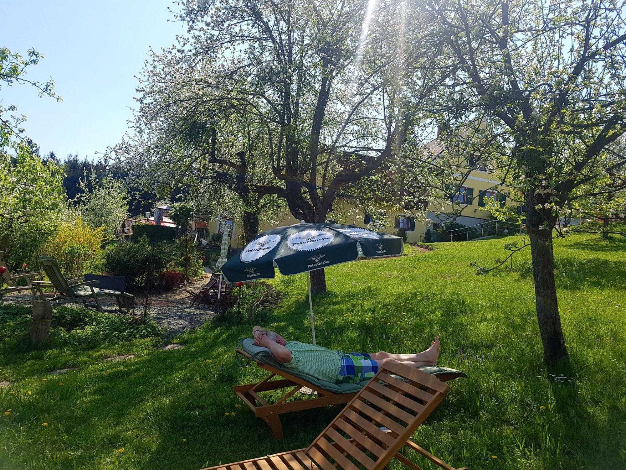 Ferienappartments Landhaus Fuehldichwohl Fehring Rum bild